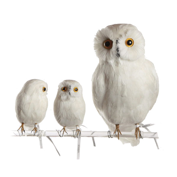 バード 白フクロウ B プエブコ【正規販売店】PUEBCO BIRDS white owl B – arenot